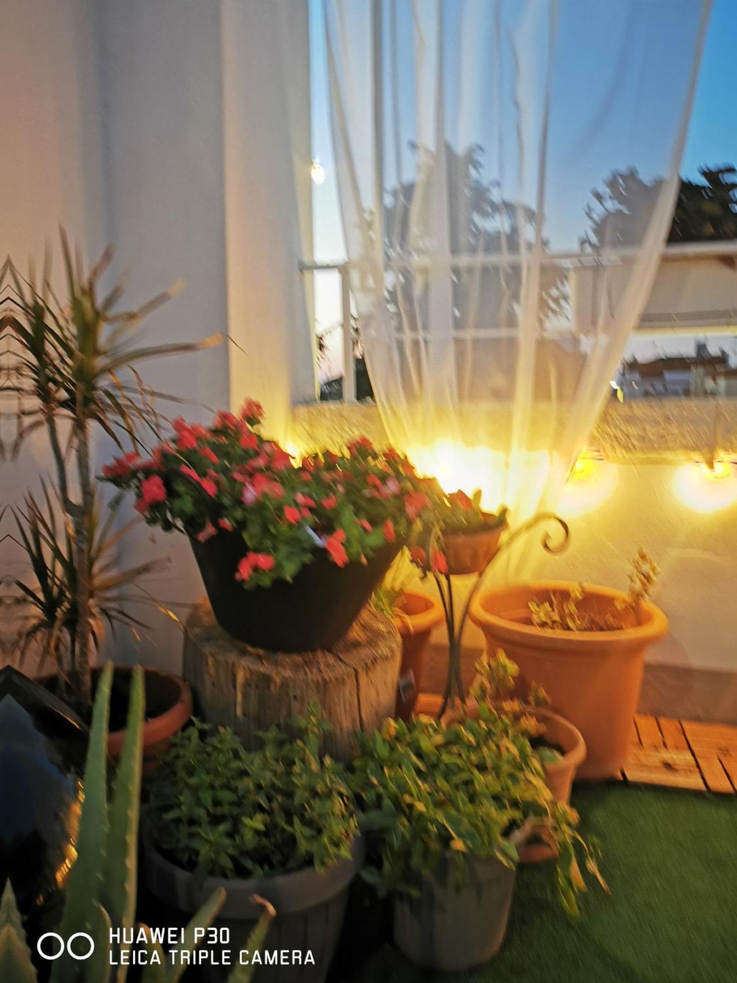 Sfumature Di Puglia Apartamento Turi Exterior foto